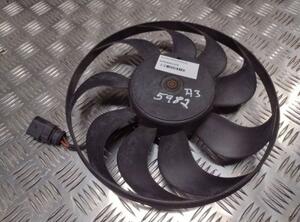 Interior Blower Motor AUDI A3 (8P1), AUDI A3 Sportback (8PA)