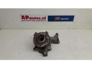 Stub Axle AUDI TT (8J3)