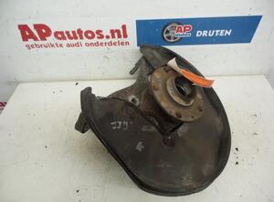 Stub Axle AUDI A6 Avant (4F5, C6)