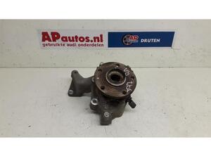 Stub Axle AUDI TT (8J3)