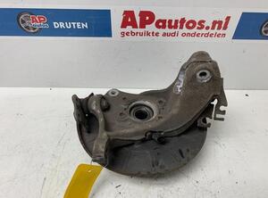 Stub Axle AUDI TT (8J3)