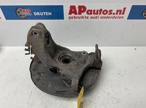 Stub Axle AUDI TT (8J3)