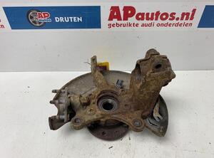 Stub Axle AUDI Q3 (8UB, 8UG), AUDI Q3 (F3B)