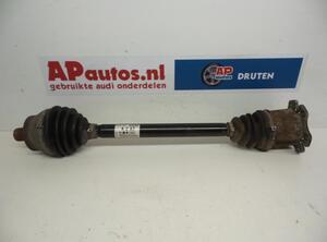 Drive Shaft AUDI A4 (8EC, B7)