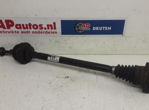 Drive Shaft AUDI A6 (4F2, C6)