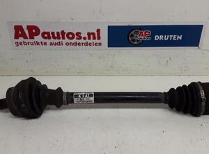 Drive Shaft AUDI A4 (8EC, B7)