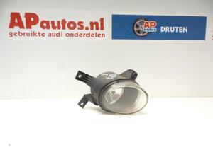 Mistlamp AUDI A4 (8EC, B7), AUDI A4 Avant (8ED, B7), AUDI A4 Avant (8E5, B6)