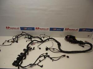 Wiring Harness AUDI A5 (8T3)