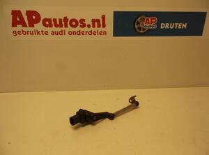 Sensor AUDI Q5 (8RB), AUDI Q5 Van (8RB)