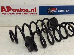 Coil Spring AUDI Q5 (8RB), AUDI Q5 Van (8RB)