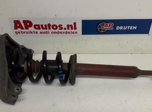 Suspension Strut AUDI A6 Avant (4F5, C6)