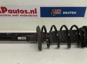 Suspension Strut AUDI A3 (8P1), AUDI A3 Sportback (8PA)