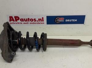 Suspension Strut AUDI A6 Avant (4F5, C6)