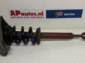 Suspension Strut AUDI A6 Avant (4F5, C6)