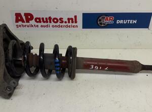 Suspension Strut AUDI A6 Avant (4F5, C6)