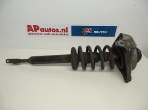 Suspension Strut AUDI A6 (4F2, C6)