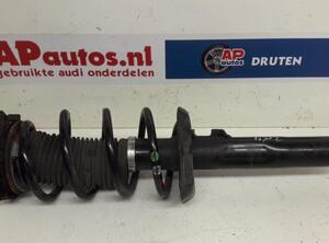 Suspension Strut AUDI A3 (8P1), AUDI A3 Sportback (8PA)