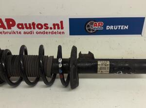 Suspension Strut AUDI A3 (8P1), AUDI A3 Sportback (8PA)