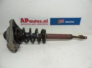 Suspension Strut AUDI A6 Avant (4F5, C6)