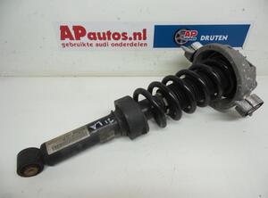 Suspension Strut AUDI Q7 (4LB), AUDI Q7 Van (4LB)