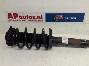 Suspension Strut AUDI A3 (8P1), AUDI A3 Sportback (8PA)