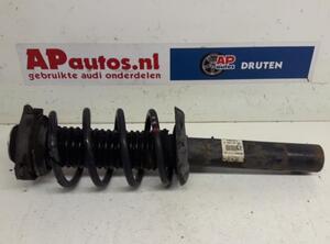 Suspension Strut AUDI A3 (8P1), AUDI A3 Sportback (8PA)