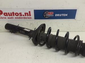 Suspension Strut AUDI A3 (8L1)