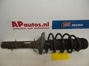 Suspension Strut AUDI A3 (8L1)