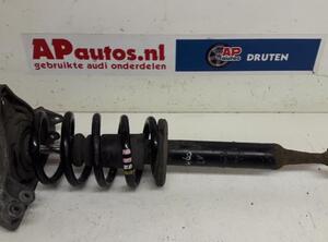 Suspension Strut AUDI A4 Avant (8E5, B6), AUDI A4 Avant (8ED, B7)