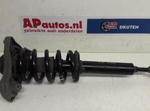 Suspension Strut AUDI A4 (8EC, B7)