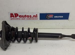 Suspension Strut AUDI A4 (8E2, B6), AUDI A4 (8EC, B7)