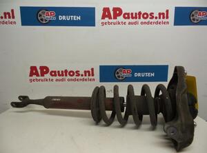 Suspension Strut AUDI A4 B7 Convertible (8HE)