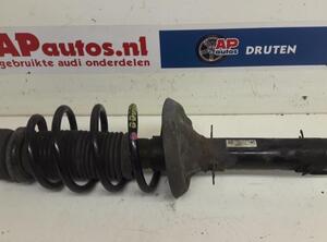 Suspension Strut AUDI A3 (8L1)