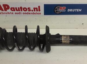 Suspension Strut AUDI A3 (8P1), AUDI A3 Sportback (8PA)