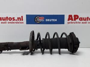 Suspension Strut AUDI A2 (8Z0)