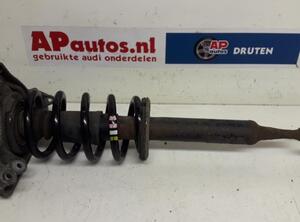 Suspension Strut AUDI A4 Avant (8E5, B6), AUDI A4 Avant (8ED, B7)