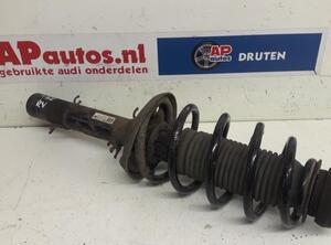 Suspension Strut AUDI A3 (8L1)