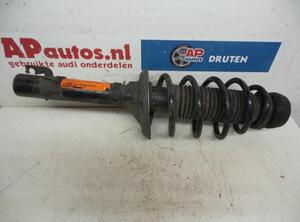 Suspension Strut AUDI A3 (8L1)