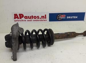 Suspension Strut AUDI A4 (8E2, B6)