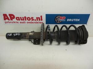 Suspension Strut AUDI A2 (8Z0)