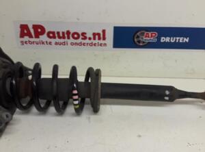 Suspension Strut AUDI A4 Avant (8E5, B6), AUDI A4 Avant (8ED, B7)