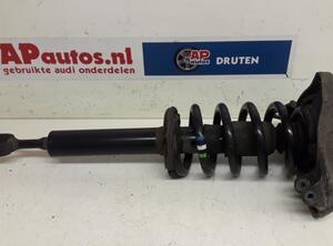 Suspension Strut AUDI A4 (8EC, B7)