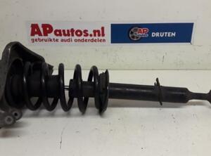 Suspension Strut AUDI A8 (4D2, 4D8)