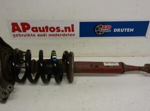 Suspension Strut AUDI A4 B7 Convertible (8HE)