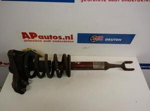 Suspension Strut AUDI A4 B7 Convertible (8HE)