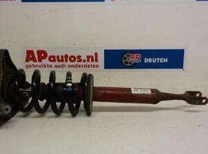 Suspension Strut AUDI A4 B7 Convertible (8HE)