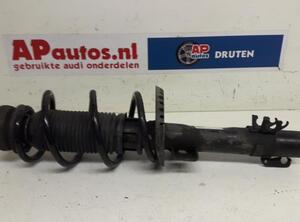 Shock Absorber AUDI A1 (8X1, 8XK), AUDI A1 Sportback (8XA, 8XF)