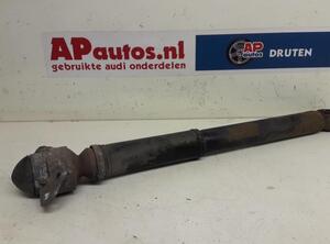 Shock Absorber AUDI A3 (8P1), AUDI A3 Sportback (8PA)