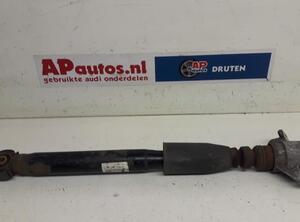 Shock Absorber AUDI Q5 (8RB), AUDI Q5 Van (8RB)