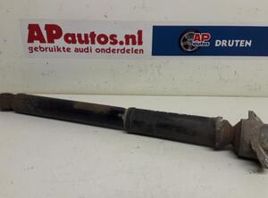 Shock Absorber AUDI A3 (8P1), AUDI A3 Sportback (8PA)